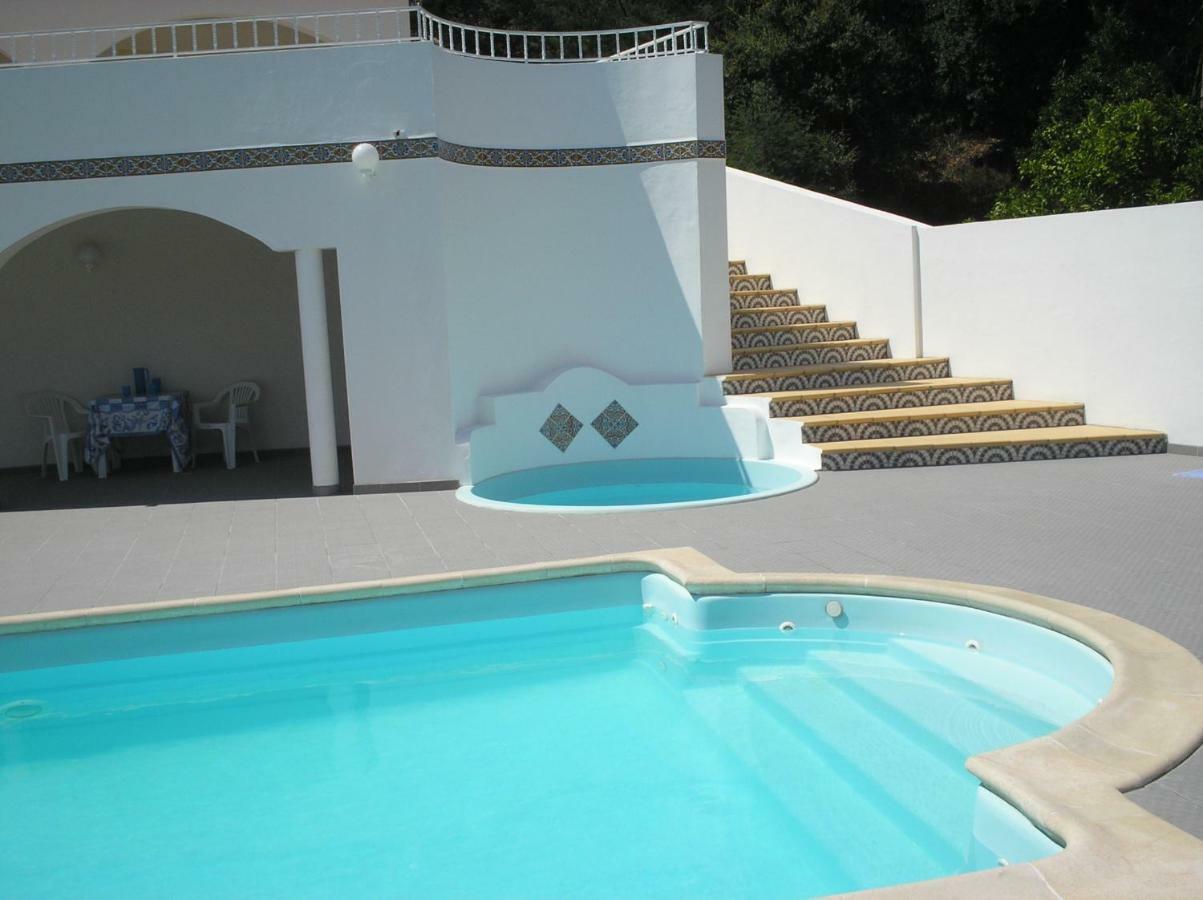Vivenda Pirilampo Villa Vila Nova de Poiares Eksteriør bilde