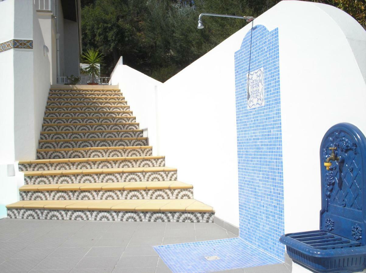 Vivenda Pirilampo Villa Vila Nova de Poiares Eksteriør bilde